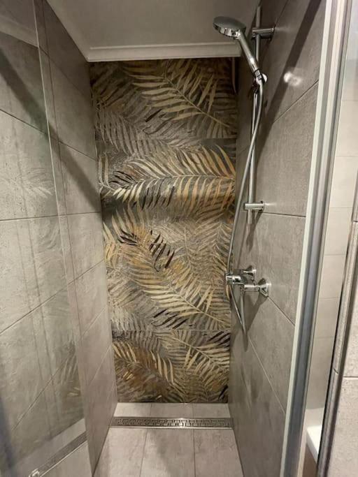 קושיצה Apartman Na Kopci מראה חיצוני תמונה