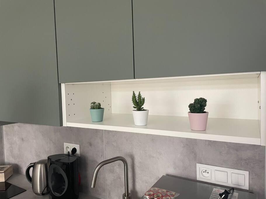 קושיצה Apartman Na Kopci מראה חיצוני תמונה